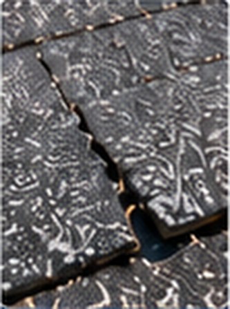 Cracked asphalt shingles &mdash; Free Roof Program Dogpatch