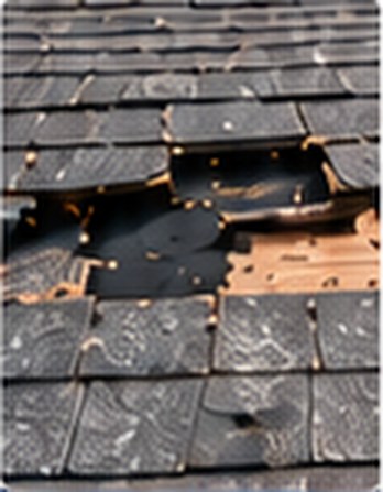 Missing shingles exposing the roof deck &mdash; Free Roof Program Dogpatch