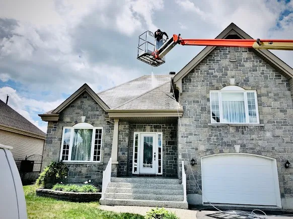 Shingle Rejuvenation Sunland